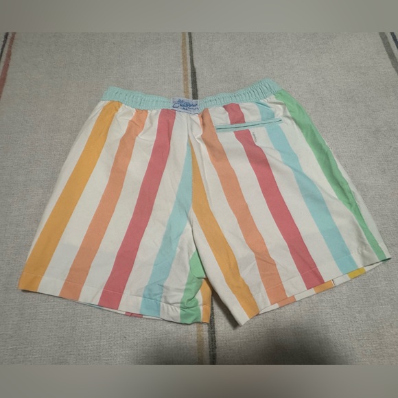 Chubbies Pastel Striped Swim Trunks - Picture 4 of 4